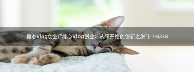 糖心vlog柚子猫新娘