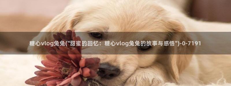 糖心vlog刷播放次数：糖心vlog兔兔(\