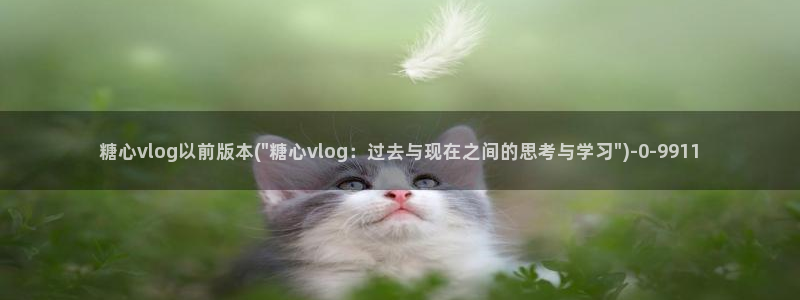 糖心vlog免费资源