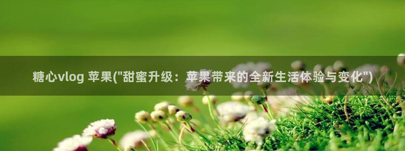 糖心vlog以前版本：糖心vlog 苹果(\