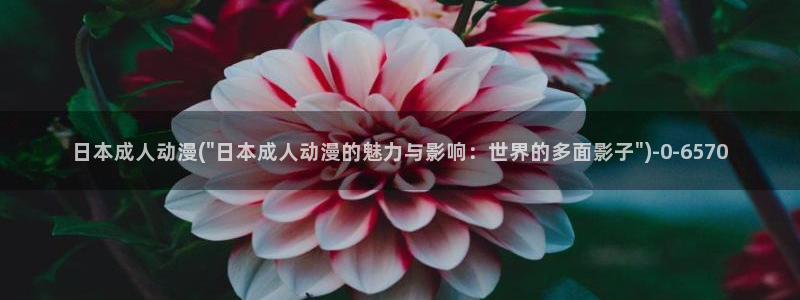 全职高手动漫