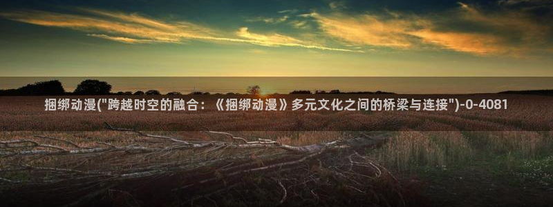 another动漫